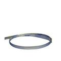 Tire Down Steel Anchor Strap With Buckle T6G-59141